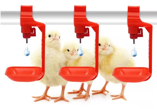 نظام شرب مياه للدواجن مع أكواب معلقة